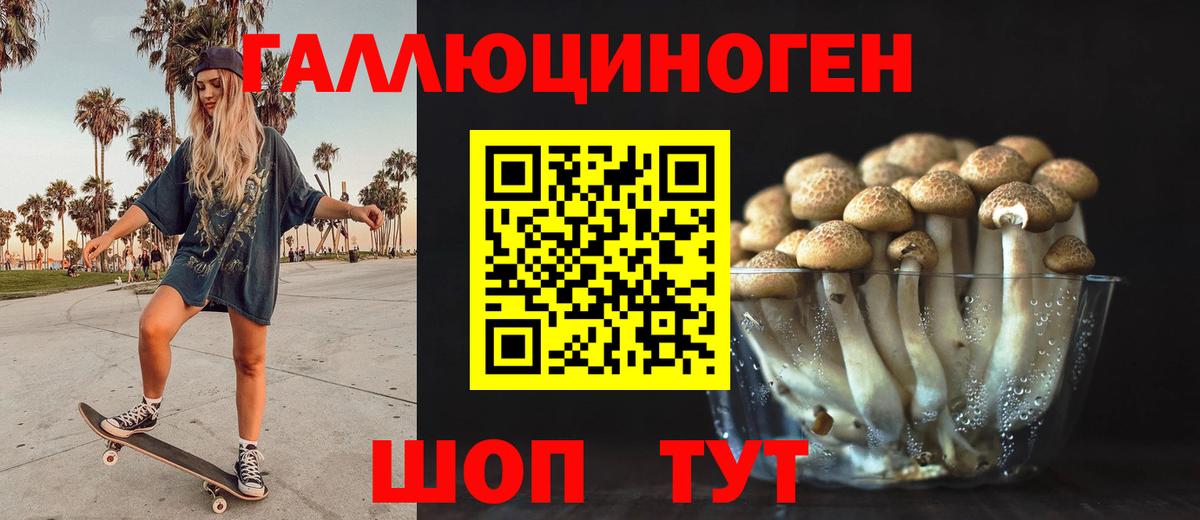 Махачкала  Галлюциногенные грибы MAGIC MUSHROOMS  Псилоцибиновые грибы MAGIC MUSHROOMS  Вход с VPN 