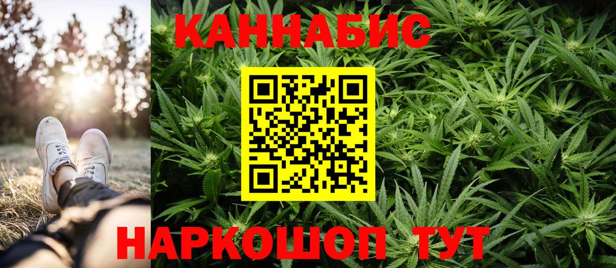Махачкала  Конопля планчик  Бошки Шишки Ganja  Канабис планчик  Канабис AK-47  Вход с VPN 